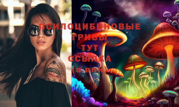 2c-b Вязьма