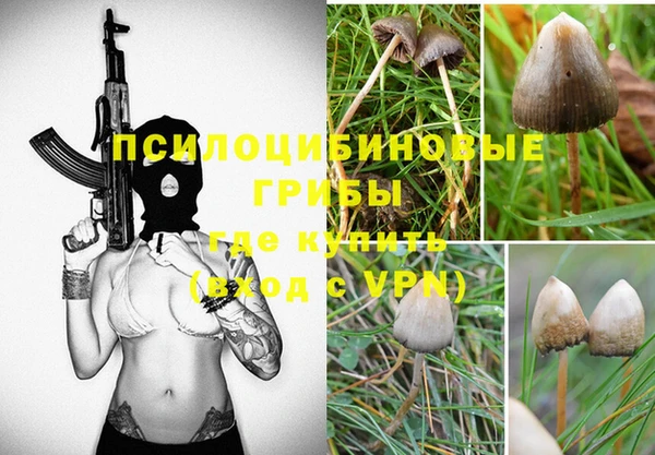 прущие крисы Вязники
